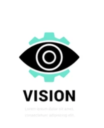 Vision 